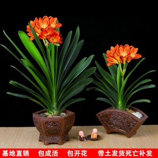 �҃Ȼ����_�������m��Ʒ�����m���Ի��ܴ��玧���������_��