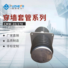 ԥΌ�Ӧĸ���׹�CMWW-10/160 CMW-20/270��ѹĸ�ߴ�ǽ�׹�