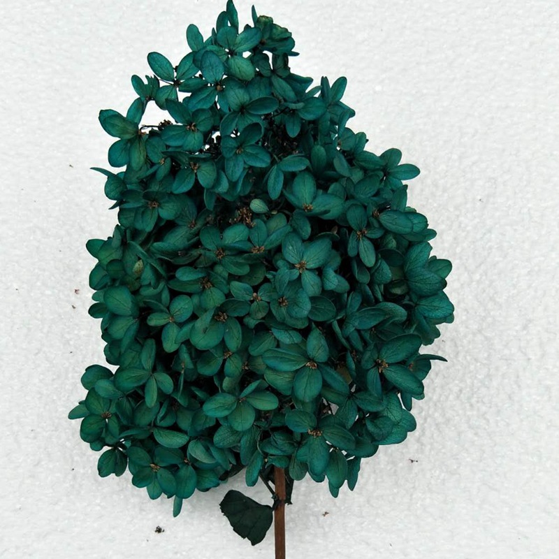 微信图片_20201018153058