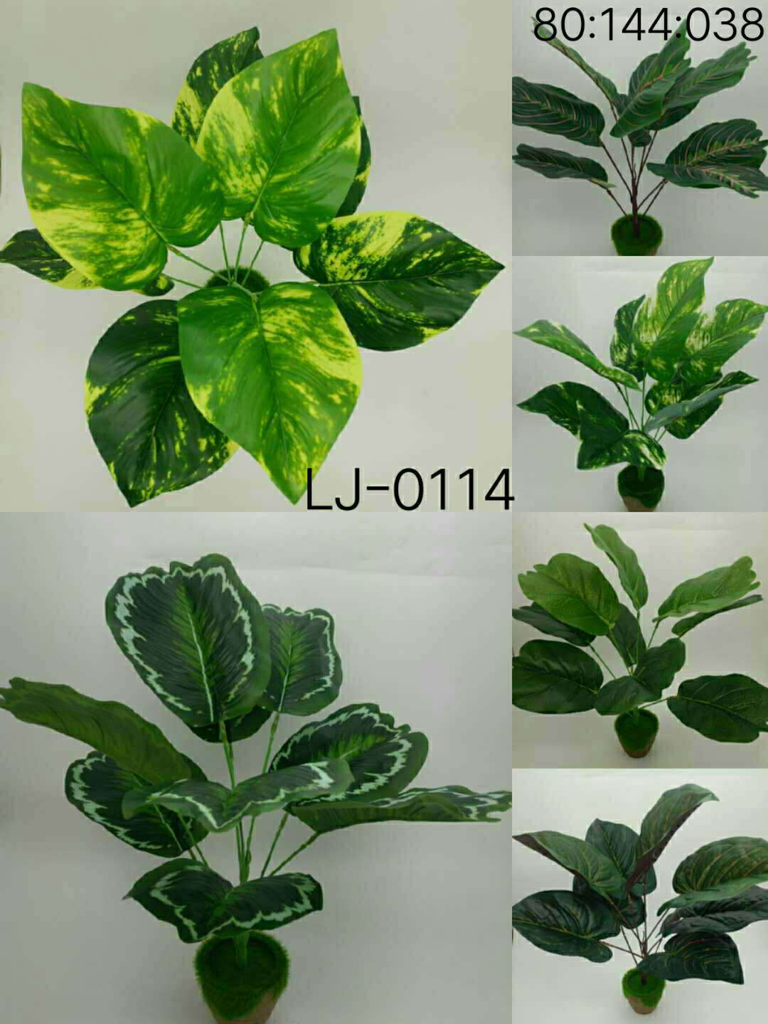 WeChat 圖片_20200708103501