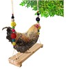 Swings, suspension bridge, ladder, suitable for teen, pet, rooster