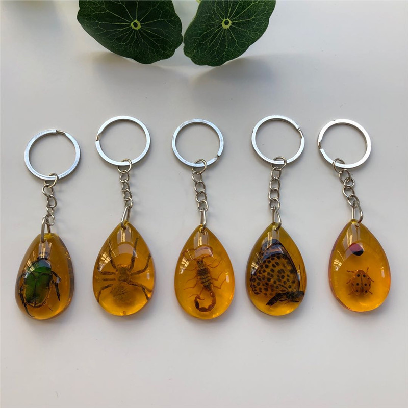 Vintage Style Insect Resin Unisex Keychain display picture 4