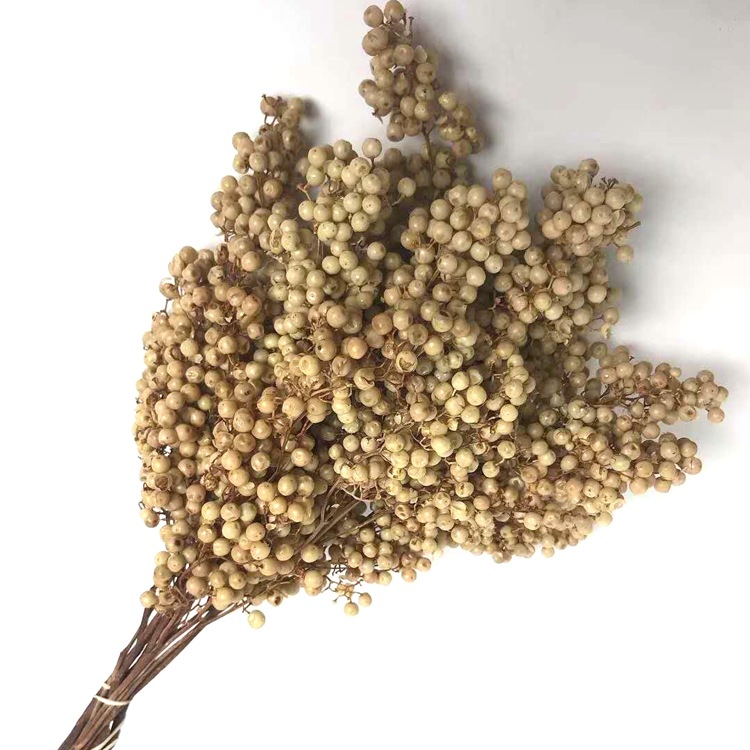 微信图片_20200209024511