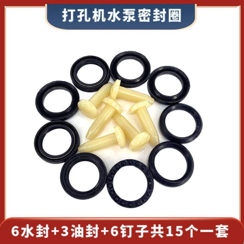 高压水泵水封油封钉子 15个 高压 打孔机高压水泵密封圈 防水圈