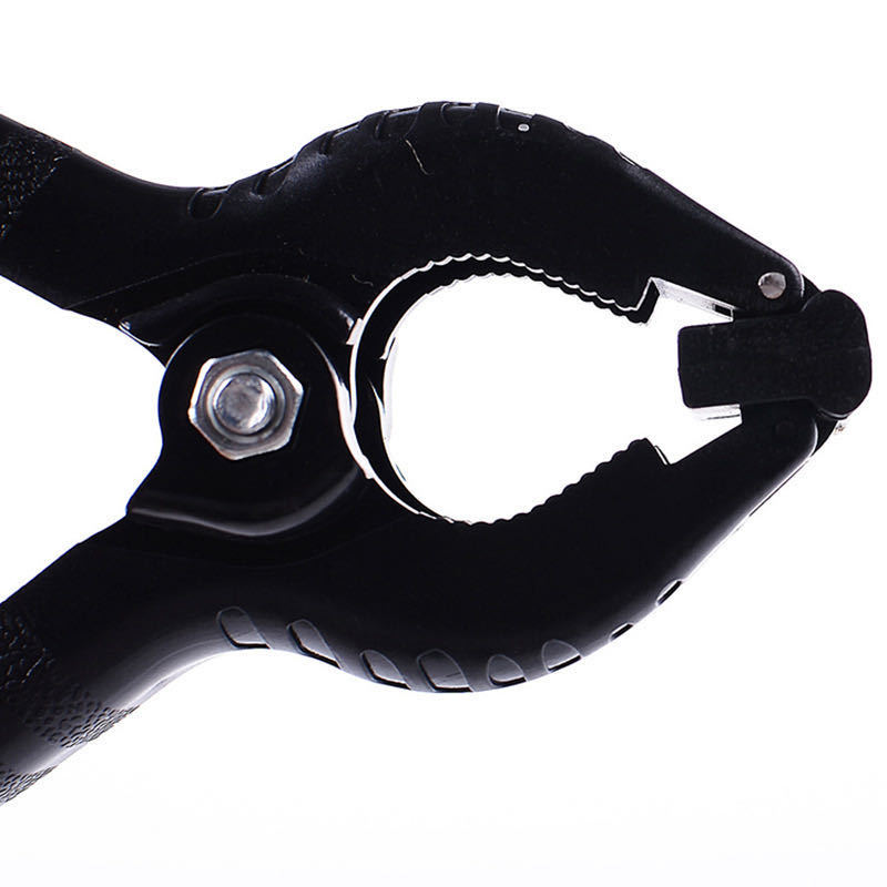 微信图片_20200813201242