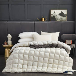 Songqi star duvet hotel pure cotton solid color goose down duvet autumn and winter warm filling size can be set
