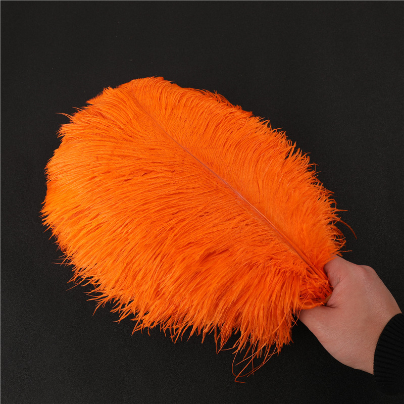 复制_批发鸵鸟毛50-80cm普通羽毛 婚庆插.jpg