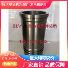 �����l���ۡ�495�����  �H�����͙C���30���ϵ�������h�r