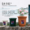 Plastic resin, breathable flowerpot for growing plants, increased thickness, roses