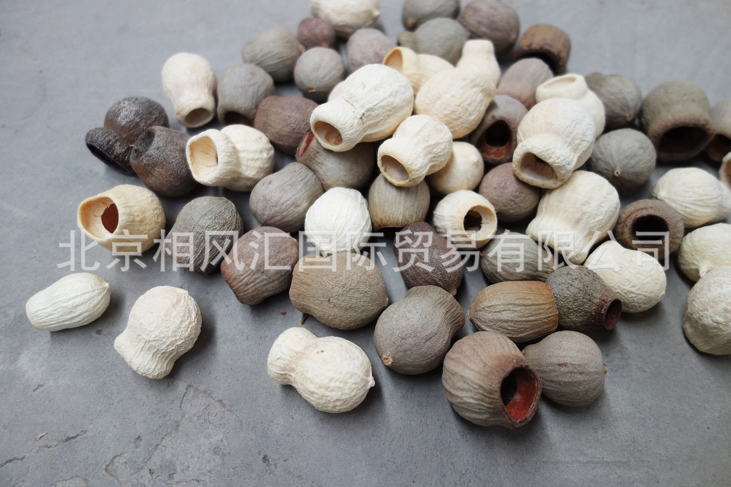 【一口钟(果头)自然色】进口招财果发财果僵尸果射手果装饰家居-阿里巴巴