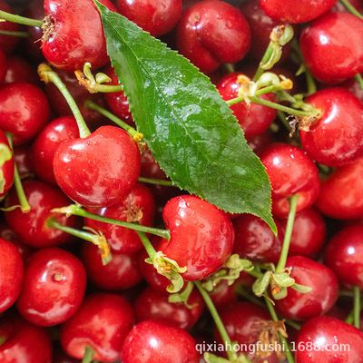 山东烟台大樱桃新鲜水果国产车厘子应季当季整箱3斤装顺丰包邮