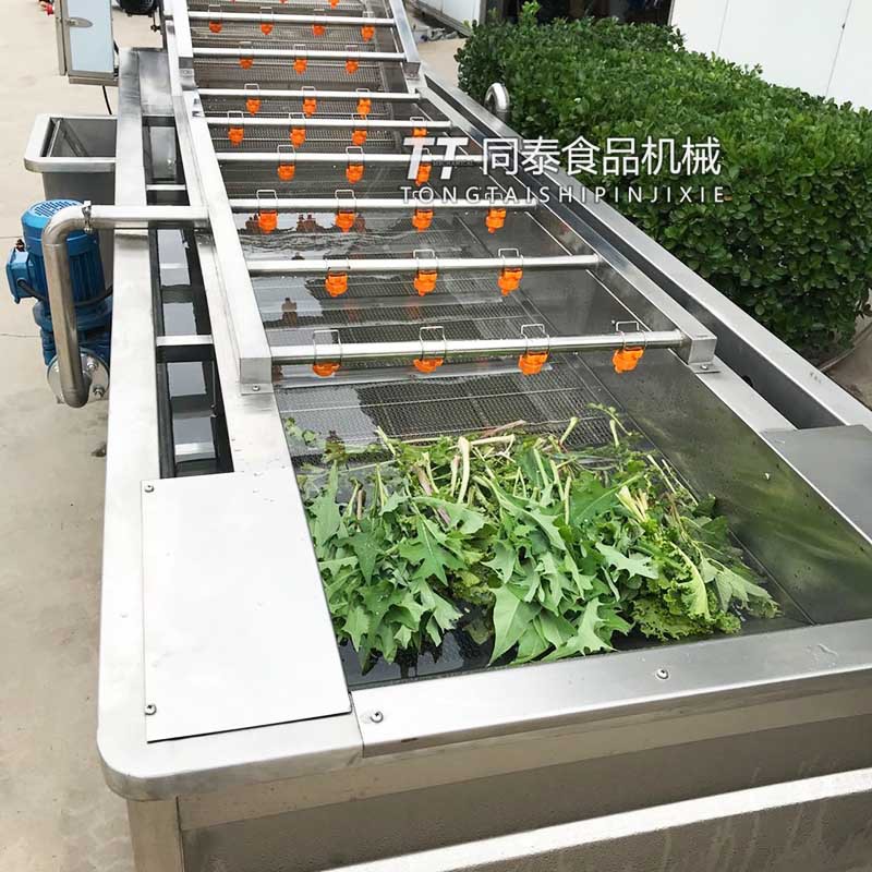 气泡洗菜机，蔬菜清洗机，多功能气泡清洗机