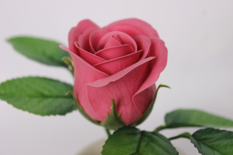 一键复制_20200227134218