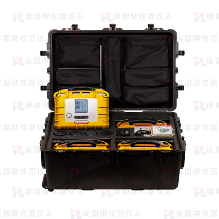 美国华瑞RAE RDK 检测套件 AreaRAE Plus