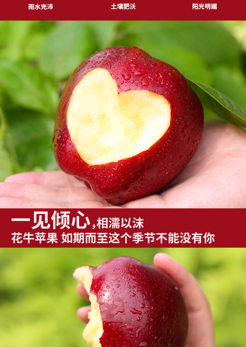 裁切_05