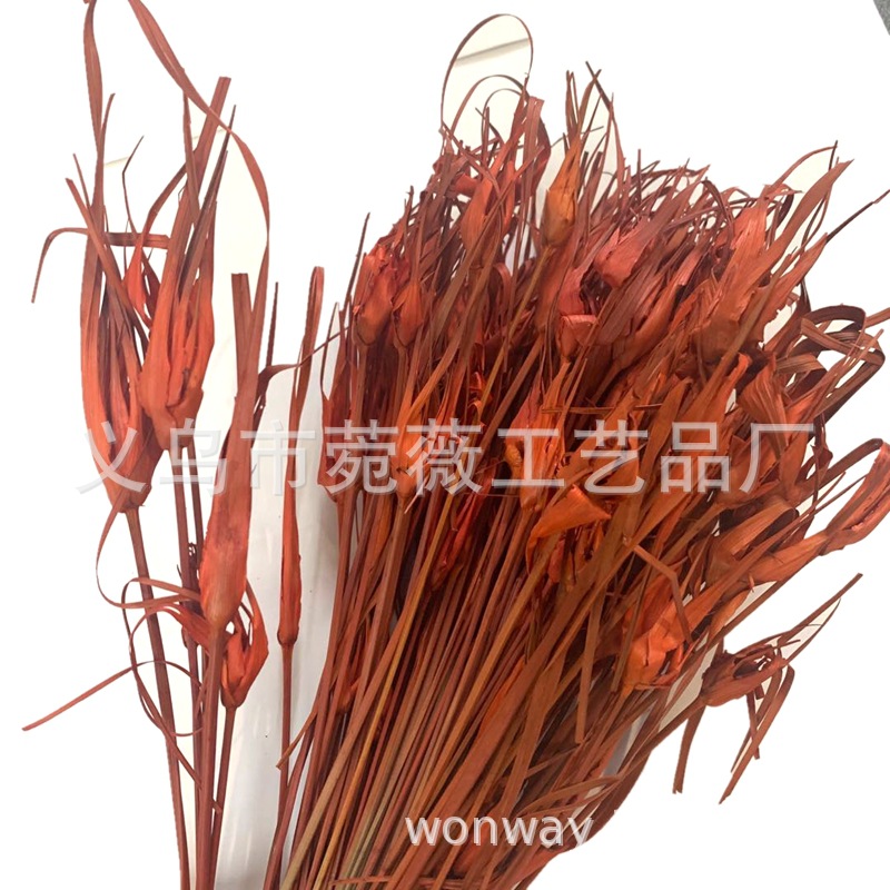 微信图片_20200427122246