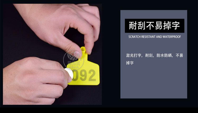 猪耳标CA详情页 (5).jpg