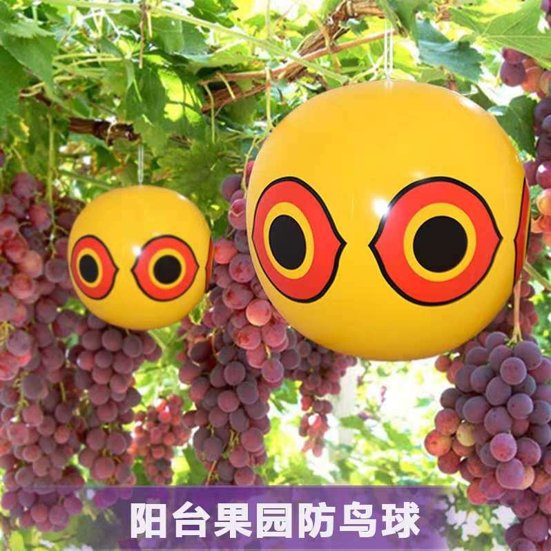 微信图片_20200422133438