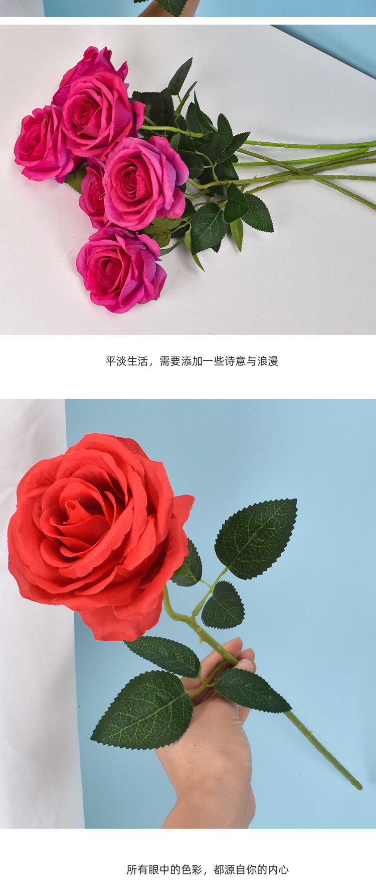 芮贝-单只玫瑰_06.jpg