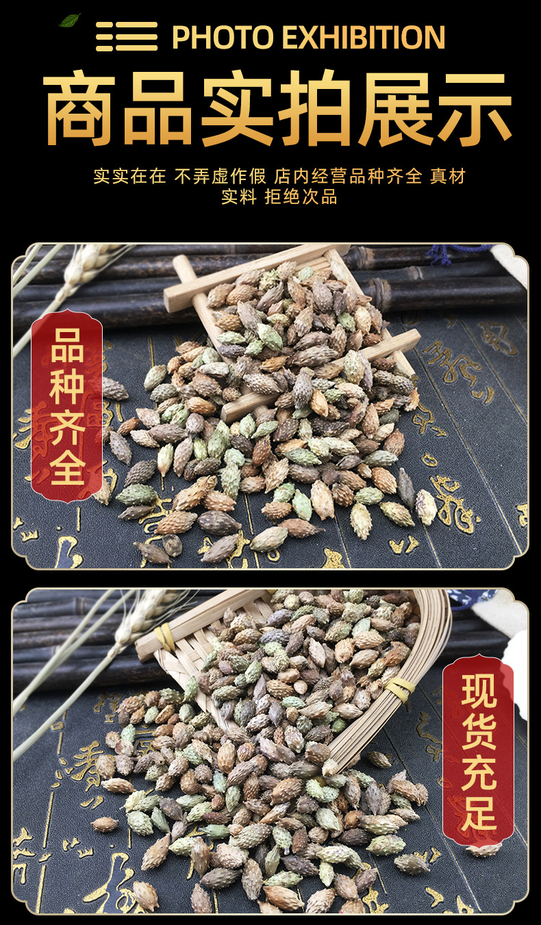 Cang Er Zi Dried Xanthium Fruit Whole Herb Bulk Traditional Chinese Herbal Ingredient 500g in use