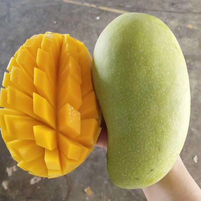 Hainan Jinhuang Narcissu fresh fruit Yellow Jinhuang Qingmang One piece On behalf of