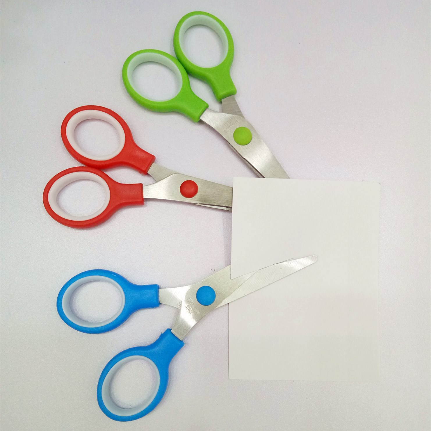 10633026674_833878618