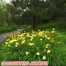 ������������޸��ر����������ͺ�����ͥԺ���a�ļ�·߅�G��ֲ��