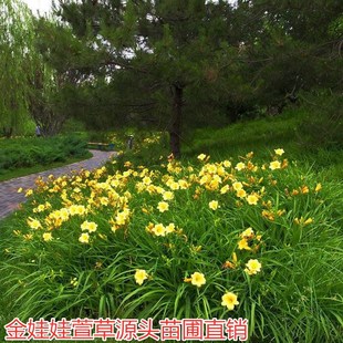 ������������޸��ر����������ͺ�����ͥԺ���a�ļ�·߅�G��ֲ��