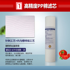 淨水器前三級濾芯10寸平口PP棉濾芯顆粒活性碳壓縮炭 純水機濾芯
