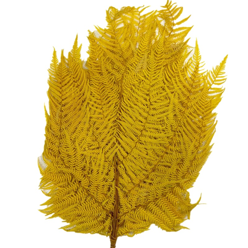 微信图片_20200420130956