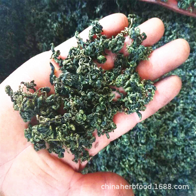 Wild Jiaogulan Tea Gynostemma Pentaphyllum 500g Bitter Seven Leaf and Sweet Five Leaf Buds Dried Loose Herbal Tea in use