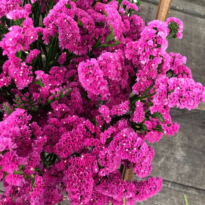 微信图片_20200221143142_副本