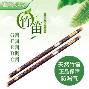 �����ִ󎟾��ƏS�r������~�p��������I�������������Ͽ������