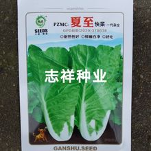 夏至快菜种子杂交种 小白菜种子四季蔬菜种庭院阳台10克