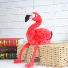 ���l�����Bë�q���ins��ɫ��Ů�Y����ż���оW�t���ބ���������