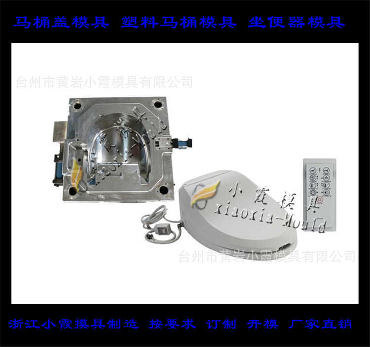 马桶盖模具 (70)