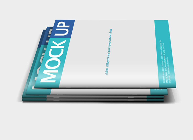Flyers Posters Album Printing Album Printing Brochure Customization