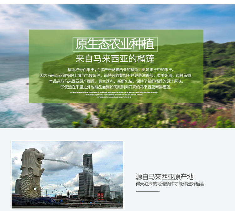 4690988323_2016077238