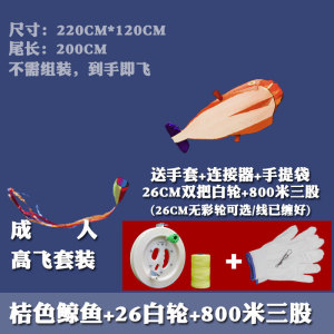 软体风筝风筝风筝卡通风筝儿童大型软体风筝易飞