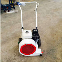 马路吹风机 路面清理吹风机 手推式鼓风机