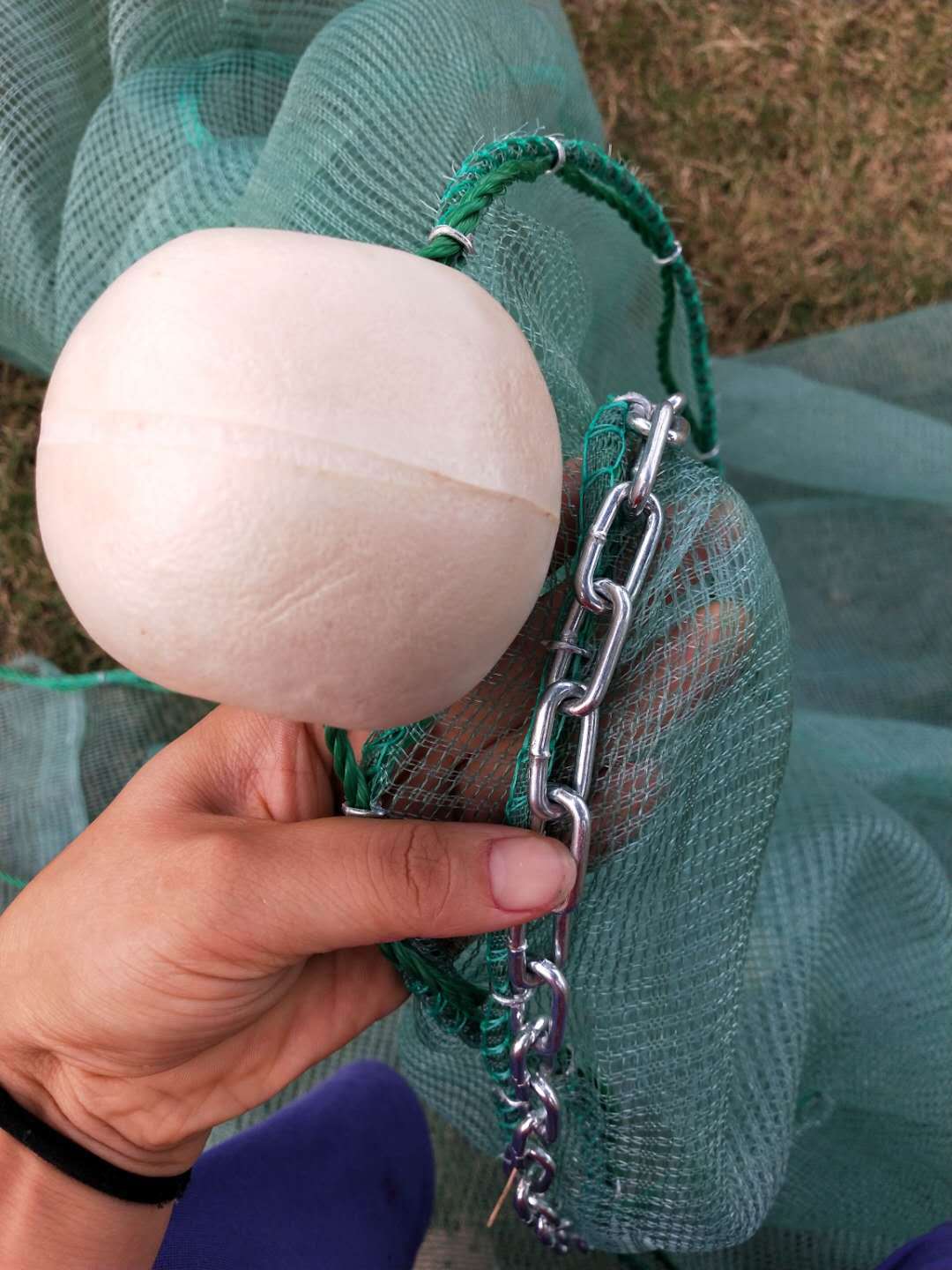 微信图片_20200712171544