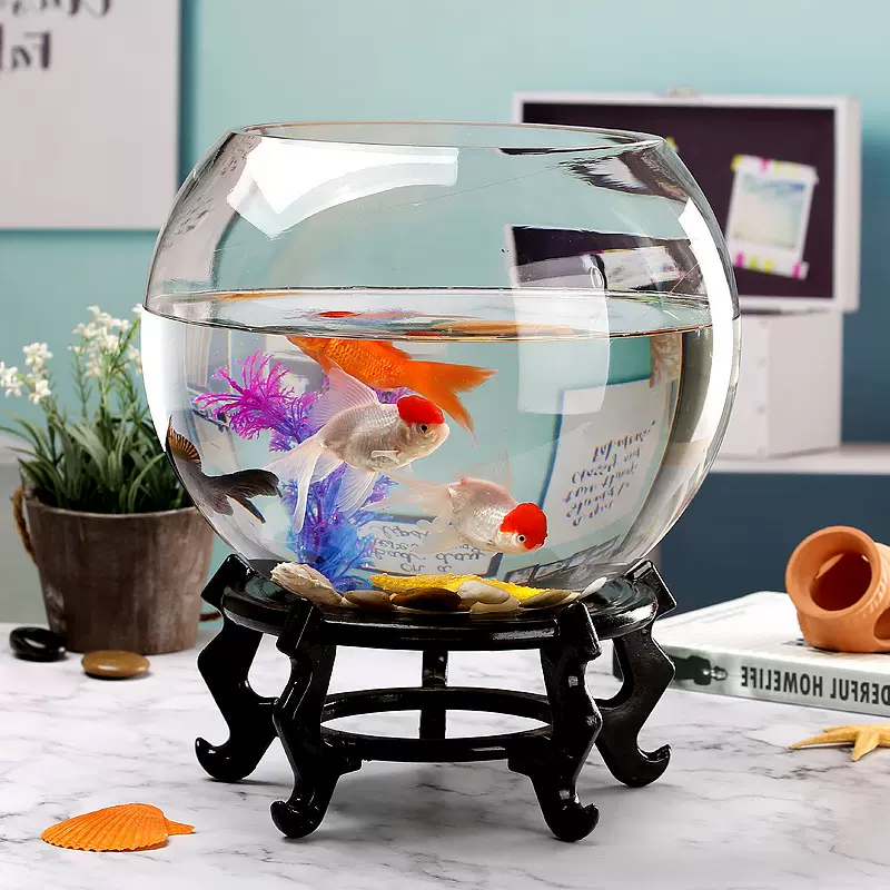透明球形玻璃小型鱼缸批发家用客厅金鱼缸桌面水培植物生态乌龟缸