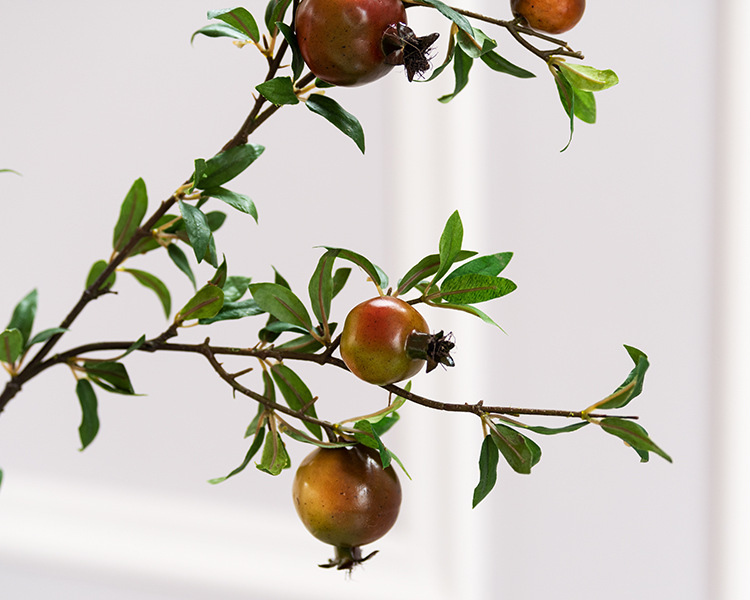 多叶6头石榴 红绿色_02.jpg