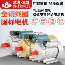 ����늙C �ĵ�늙C  ����늄ӣ�ʳƷ�Cе������C늙C�����I늙C