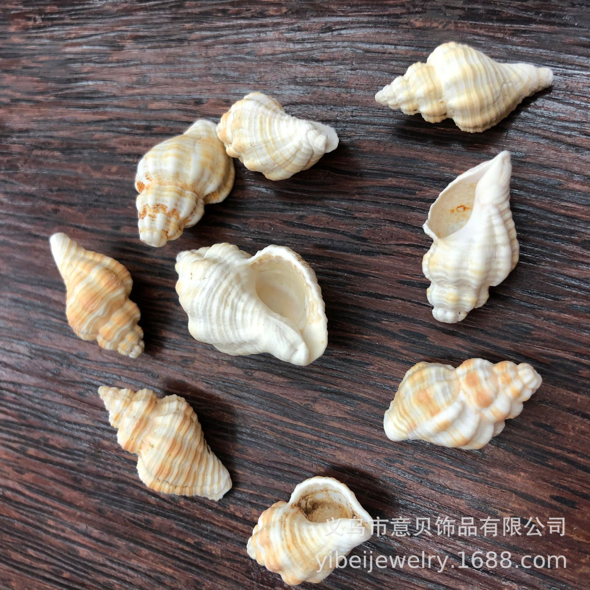 95F5D677D679F09F924DE10F809EBF