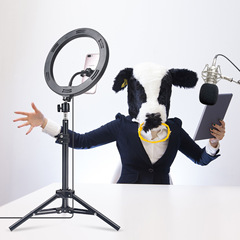 Ring light Internet celebrity live broadcast floor-standing tripod 10-inch led26cm mobile phone selfie beauty lamp ring light