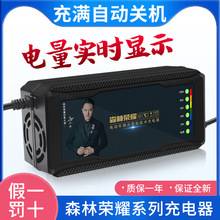 自动断电智能电动车电瓶充电器48V12AH60V20AH72爱玛雅迪三轮通用