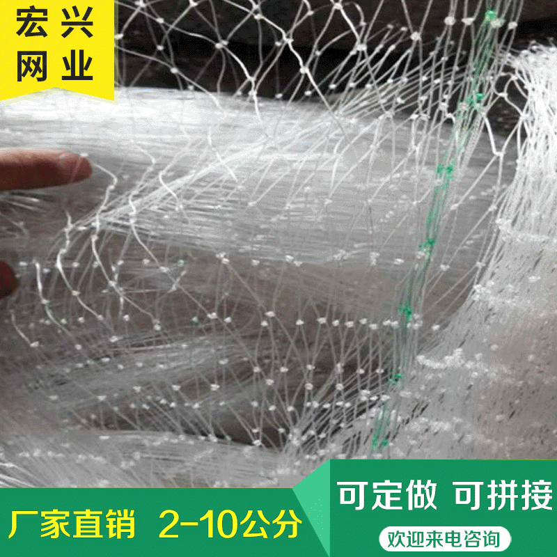 农用防鸟网  池塘养殖防鸟网 加厚青蛙防逃网 果园防鸟网