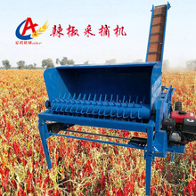 农用机械朝天椒采摘机自动装袋辣椒收集机果秧分离机内蒙适用