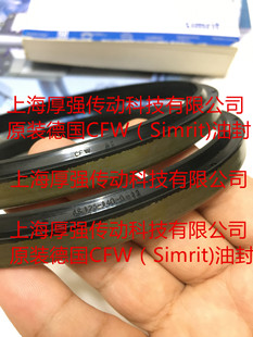 ��CFW/Simrit�Ƶ�FREUDENBERG�F�����mCFW A1 AS125-140-9-12